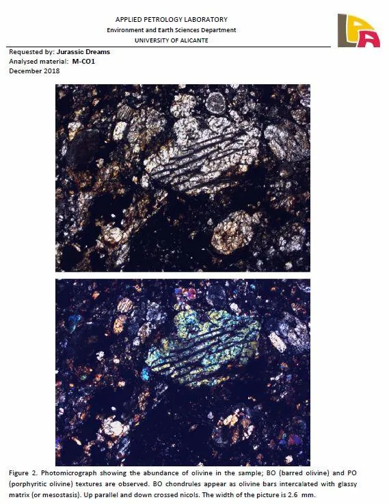 06006 - Beautiful Polished Section NWA Unclassified L-H Type Ordinary Chondrite Meteorite 14.0g