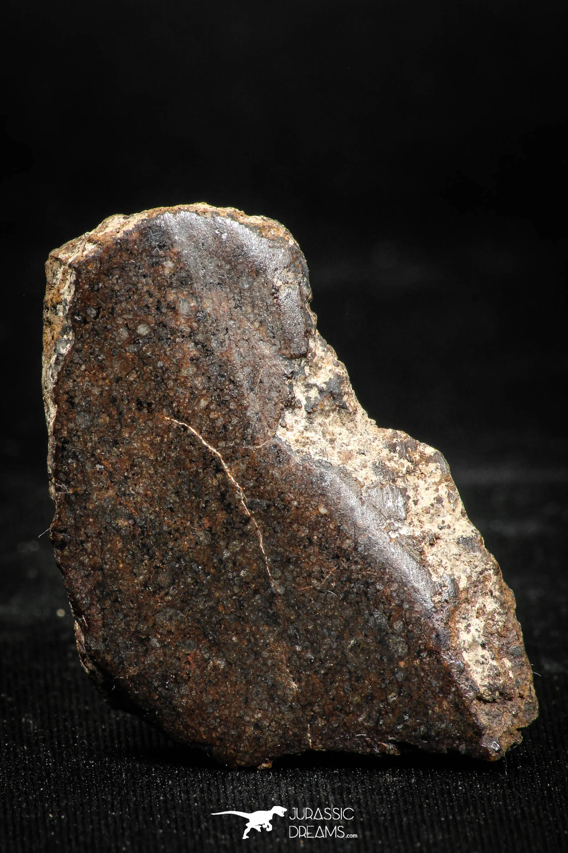 06006 - Beautiful Polished Section NWA Unclassified L-H Type Ordinary Chondrite Meteorite 14.0g