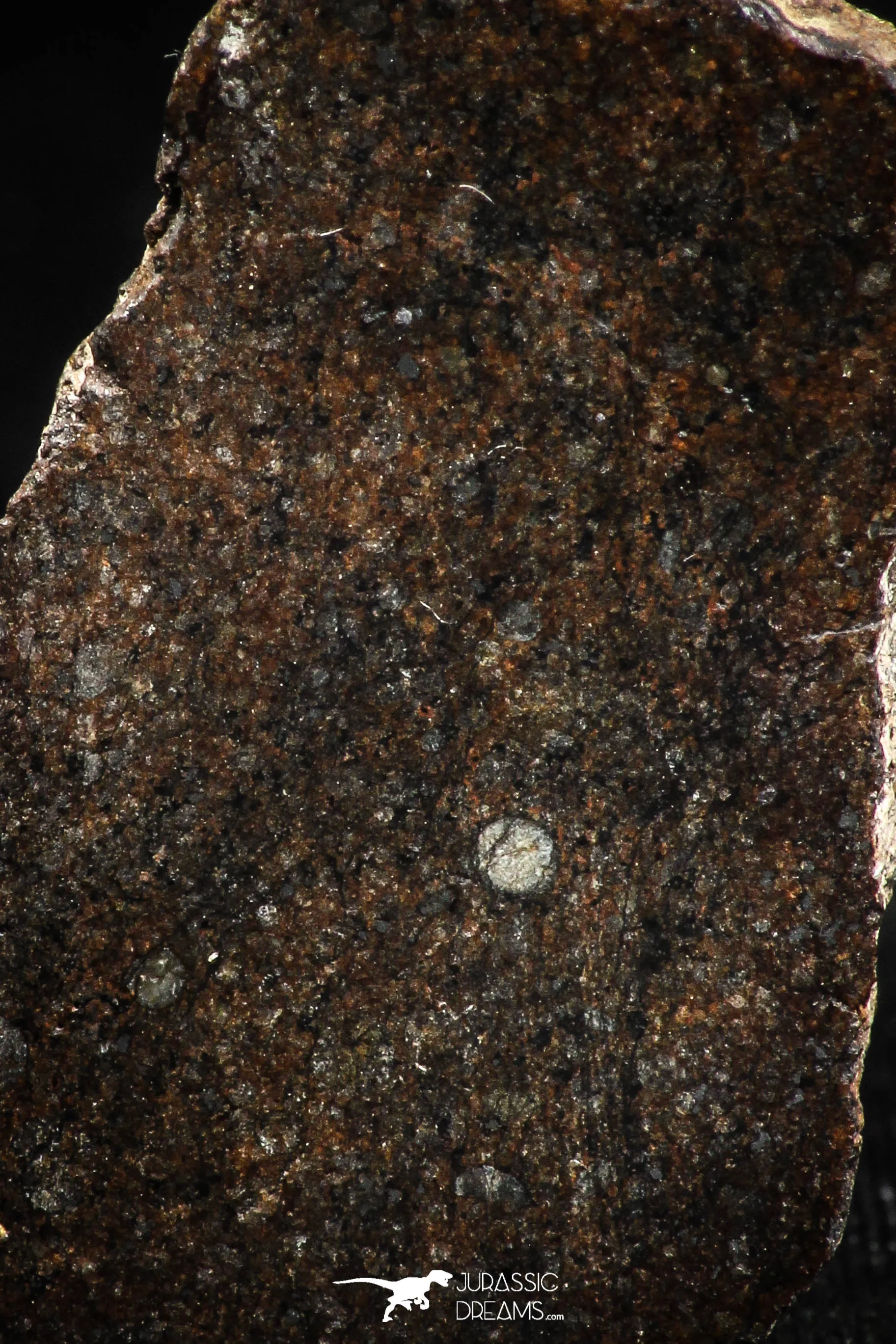 06006 - Beautiful Polished Section NWA Unclassified L-H Type Ordinary Chondrite Meteorite 14.0g