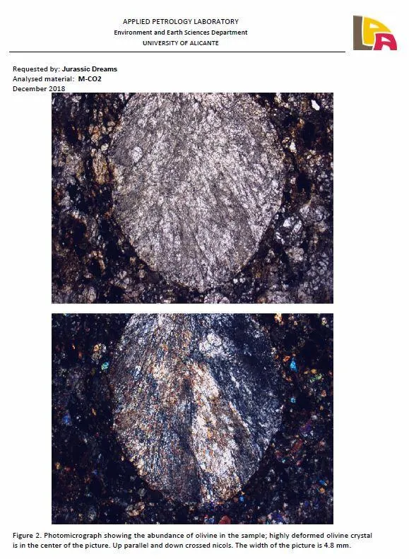 06006 - Beautiful Polished Section NWA Unclassified L-H Type Ordinary Chondrite Meteorite 14.0g