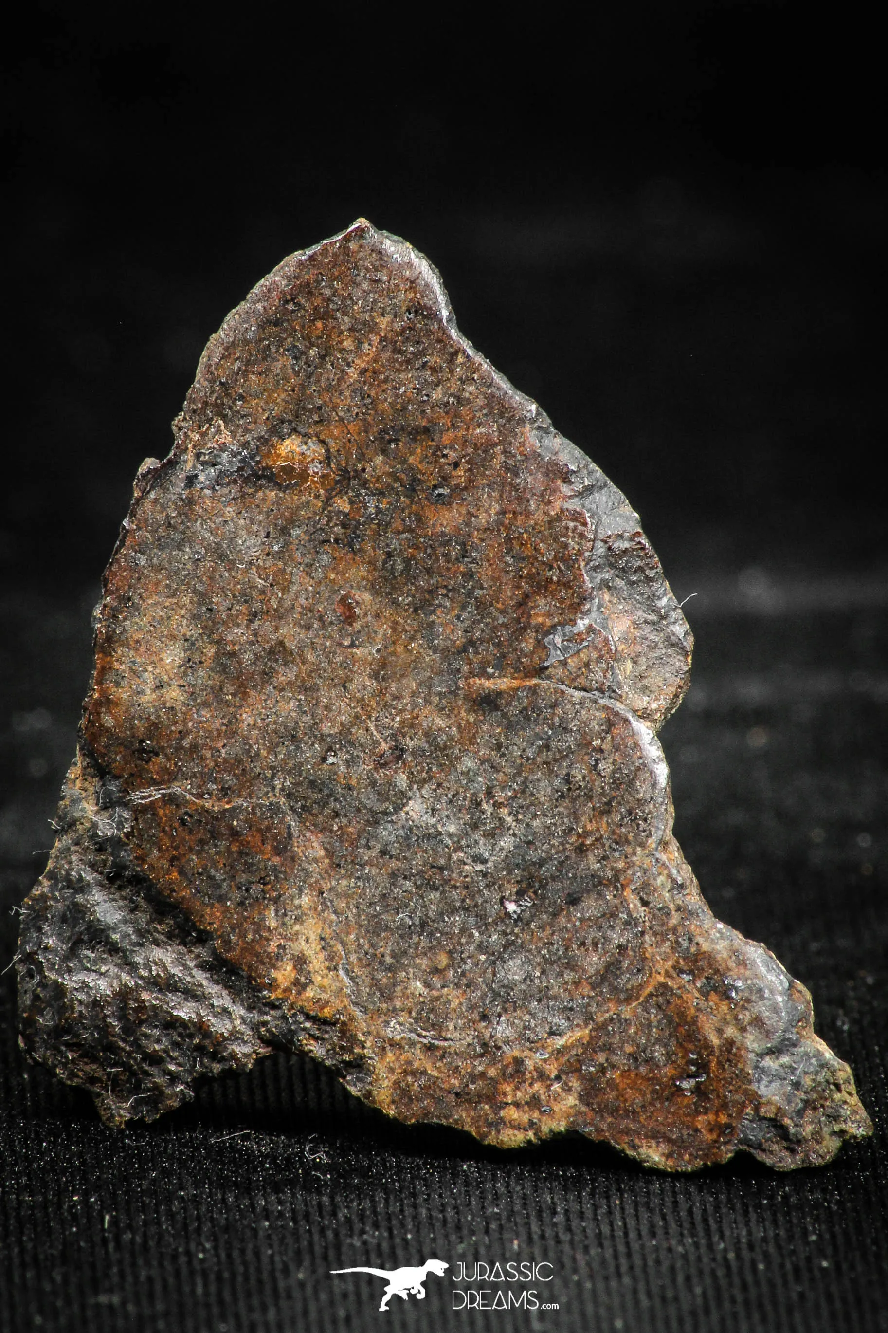 06008 - Beautiful Polished Section NWA Unclassified L-H Type Ordinary Chondrite Meteorite 12.0g