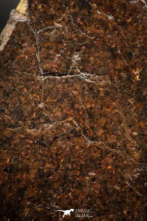 06286 - Nice Polished Section NWA Unclassified L-H Type Ordinary Chondrite Meteorite 35.0g