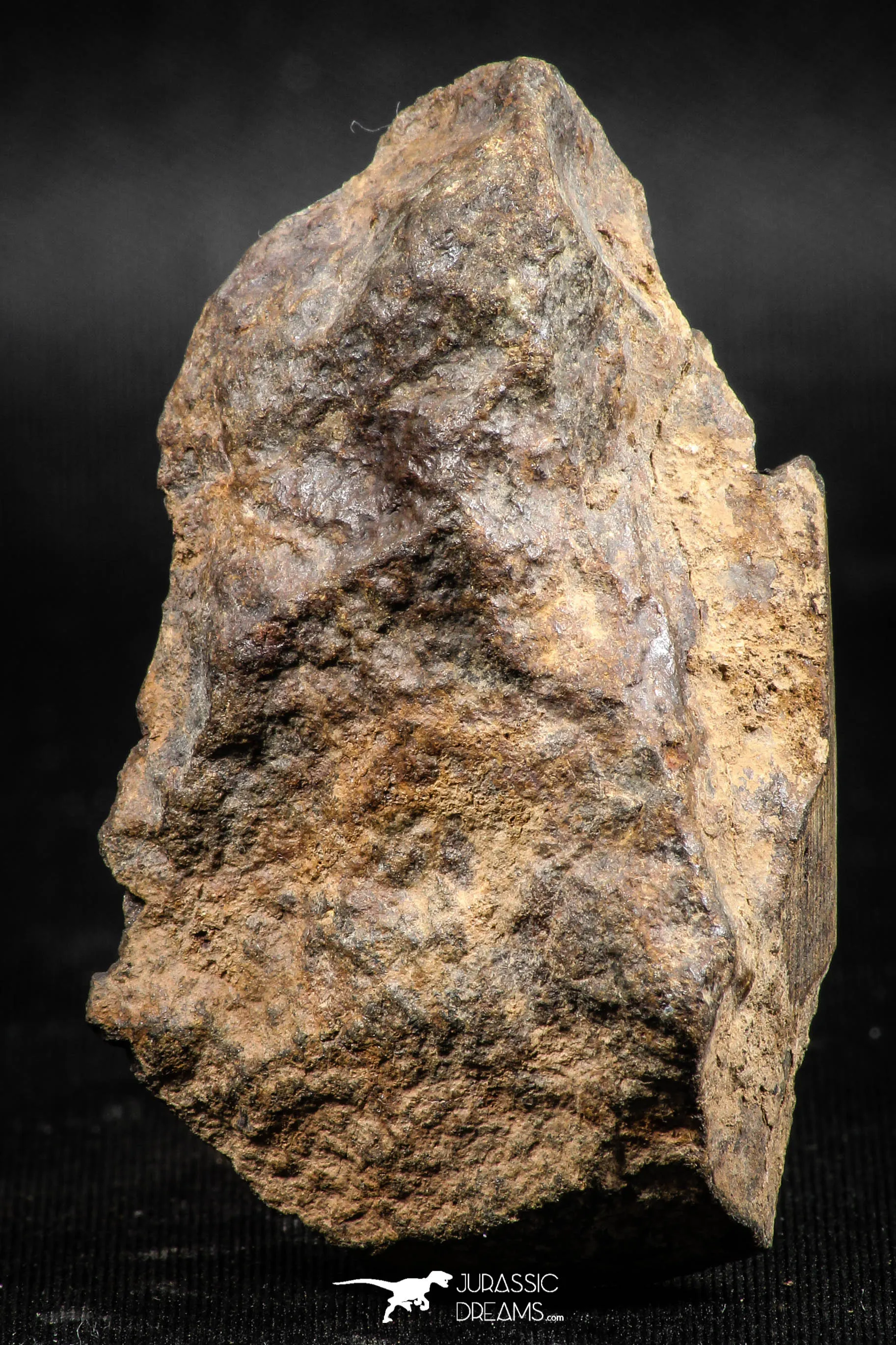 06286 - Nice Polished Section NWA Unclassified L-H Type Ordinary Chondrite Meteorite 35.0g