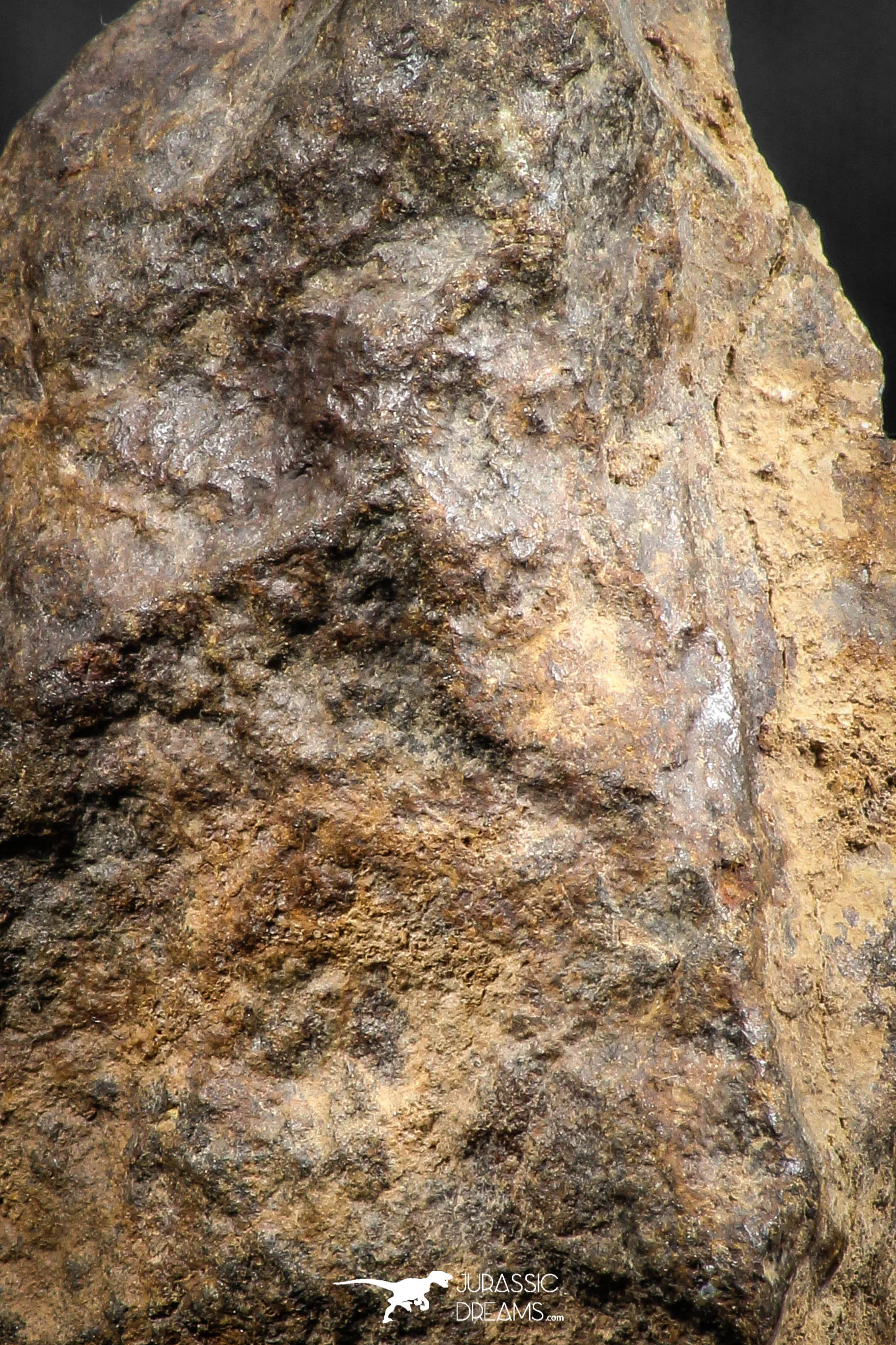06286 - Nice Polished Section NWA Unclassified L-H Type Ordinary Chondrite Meteorite 35.0g