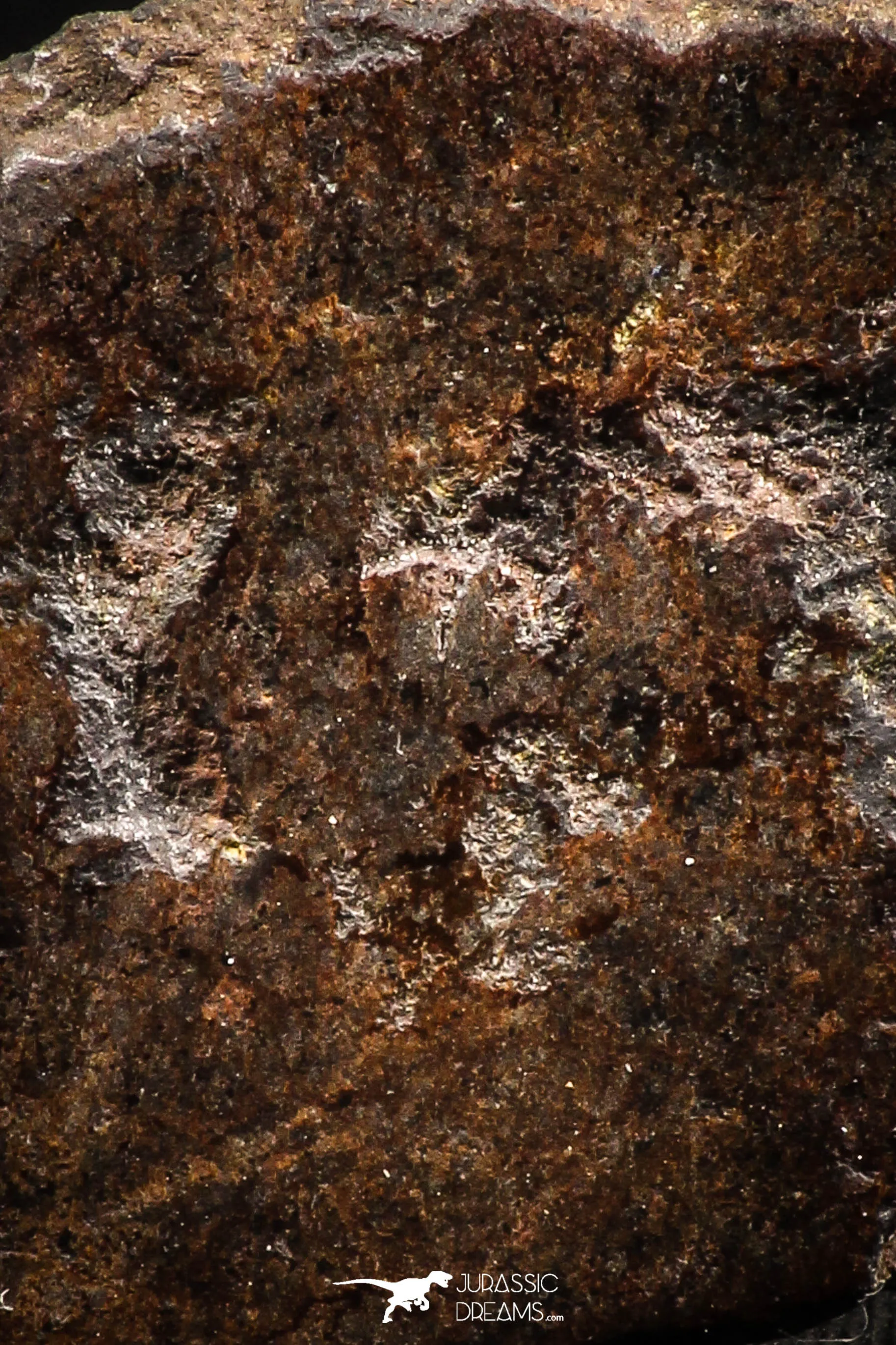 06293 - Nice Polished Section NWA Unclassified L-H Type Ordinary Chondrite Meteorite 14.0g