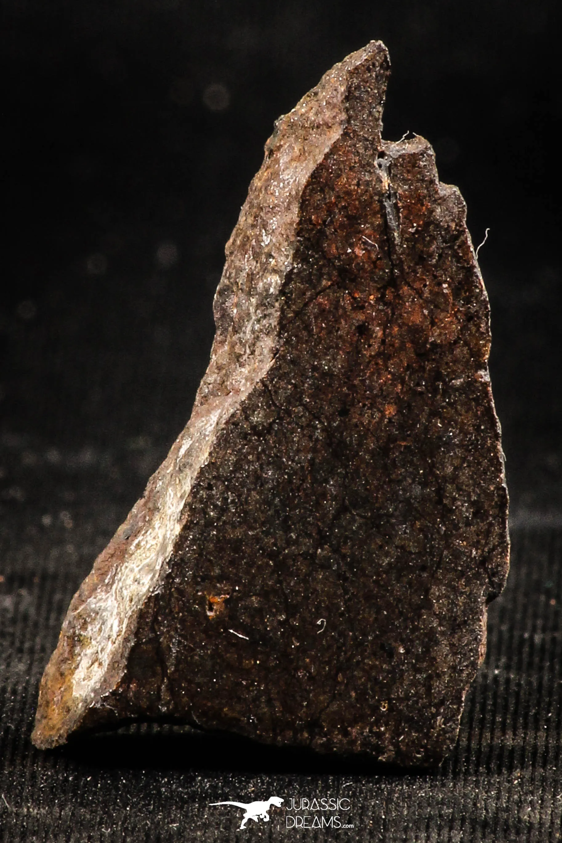 06294 - Nice Polished Section NWA Unclassified L-H Type Ordinary Chondrite Meteorite 7.0g