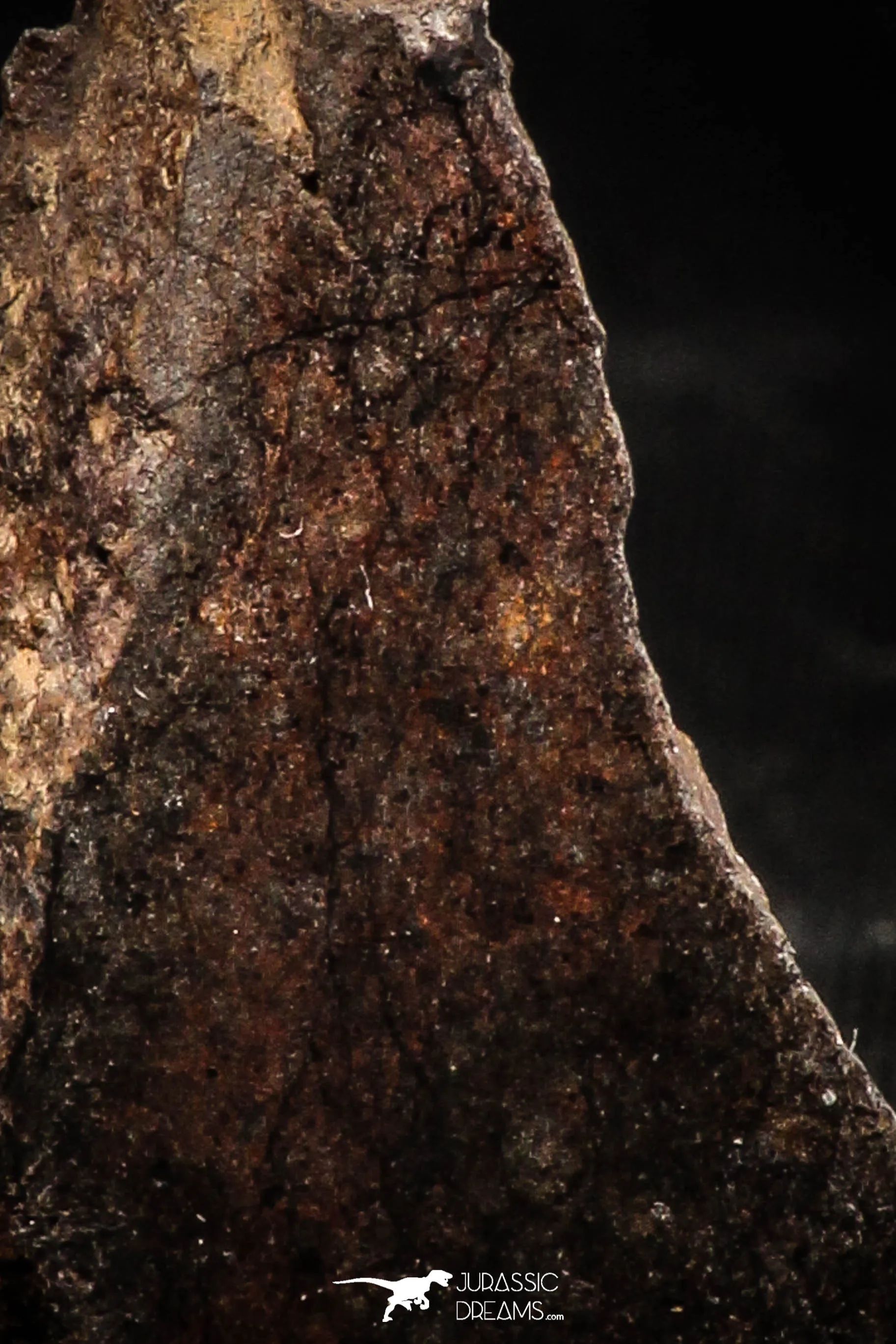 06294 - Nice Polished Section NWA Unclassified L-H Type Ordinary Chondrite Meteorite 7.0g