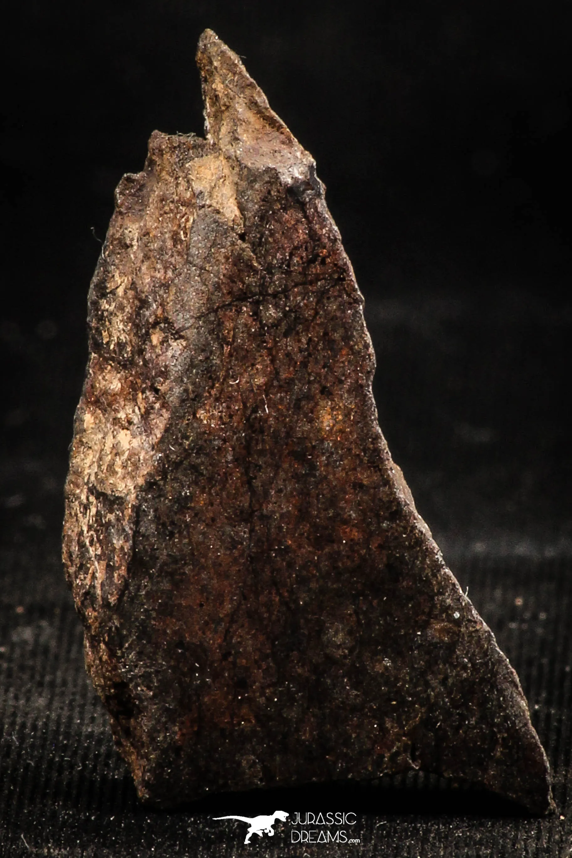 06294 - Nice Polished Section NWA Unclassified L-H Type Ordinary Chondrite Meteorite 7.0g