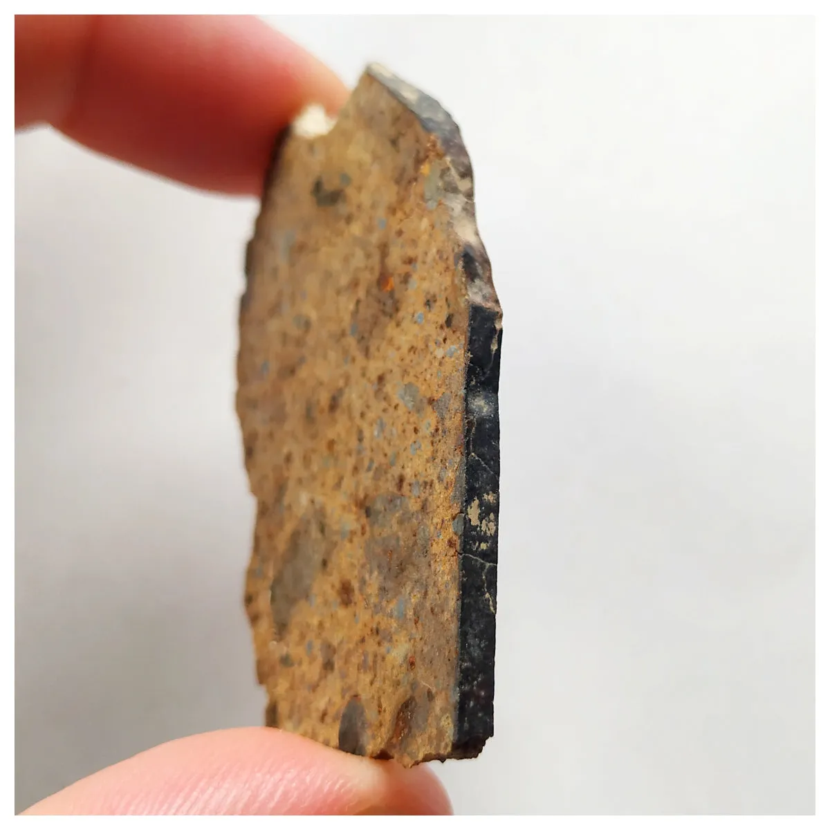 14017 A53 - Nice "NWA 13472" LL4-6 Ordinary Chondrite Meteorite 10.85g Crusted Slice