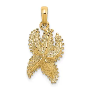 14K Textured Starfish Charm