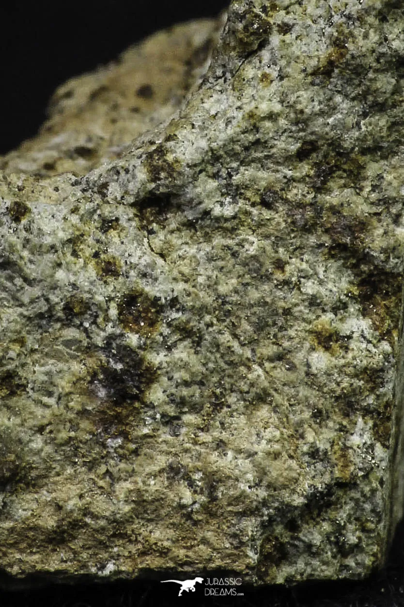 21482 - NWA Unclassified Chondrite Meteorite L Type 12.2g Polished Section