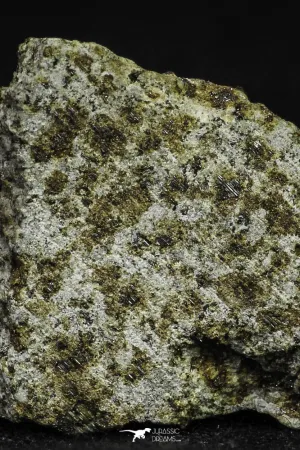 21482 - NWA Unclassified Chondrite Meteorite L Type 12.2g Polished Section