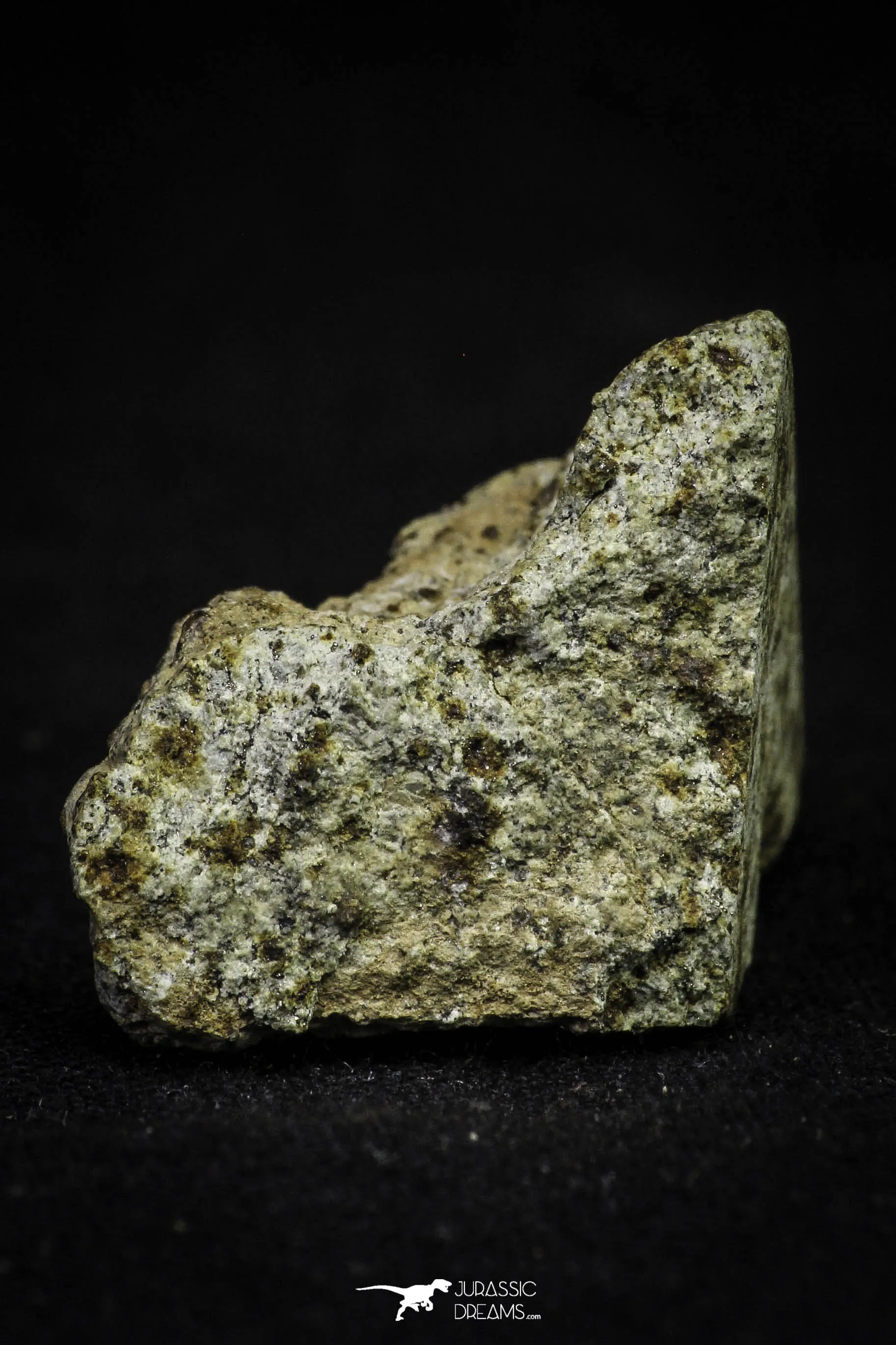 21482 - NWA Unclassified Chondrite Meteorite L Type 12.2g Polished Section