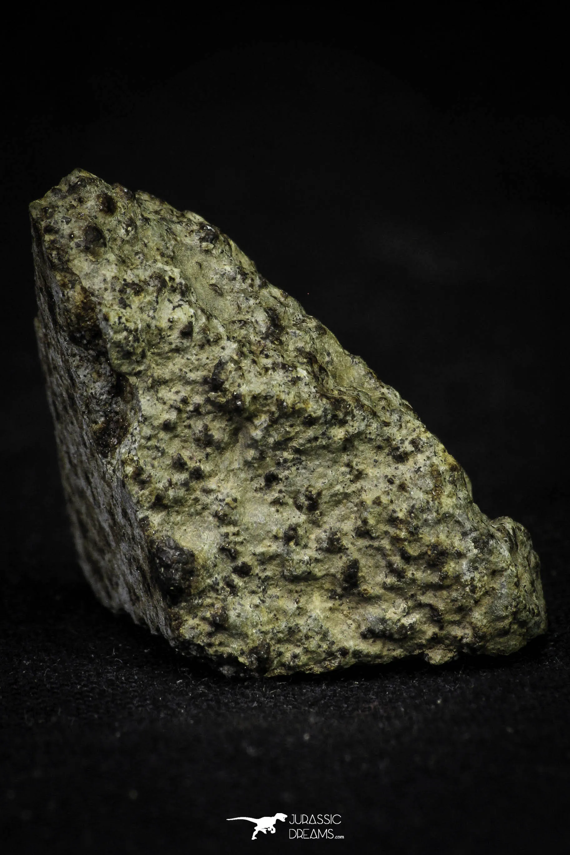 21482 - NWA Unclassified Chondrite Meteorite L Type 12.2g Polished Section