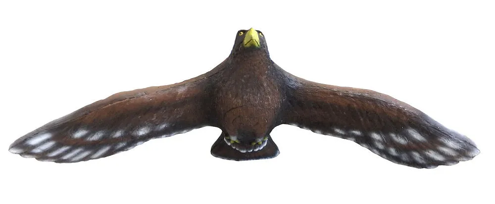 7ft Flying Golden Eagle 3D Field Archery Target