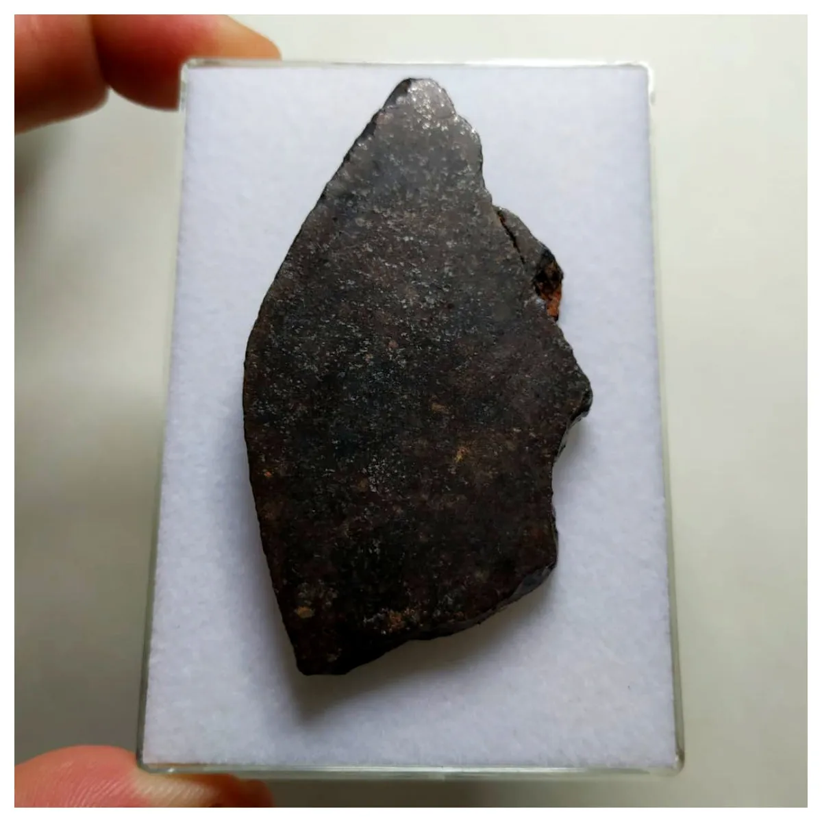 A75 - "NWA 13291" H5 Ordinary Chondrite Meteorite 35.86g Thick Crusted Slice