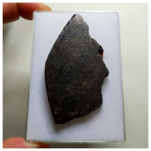 A75 - "NWA 13291" H5 Ordinary Chondrite Meteorite 35.86g Thick Crusted Slice