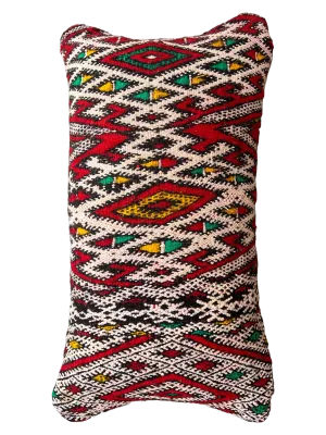 Ain Leuh Small Lumbar Pillow - Protective