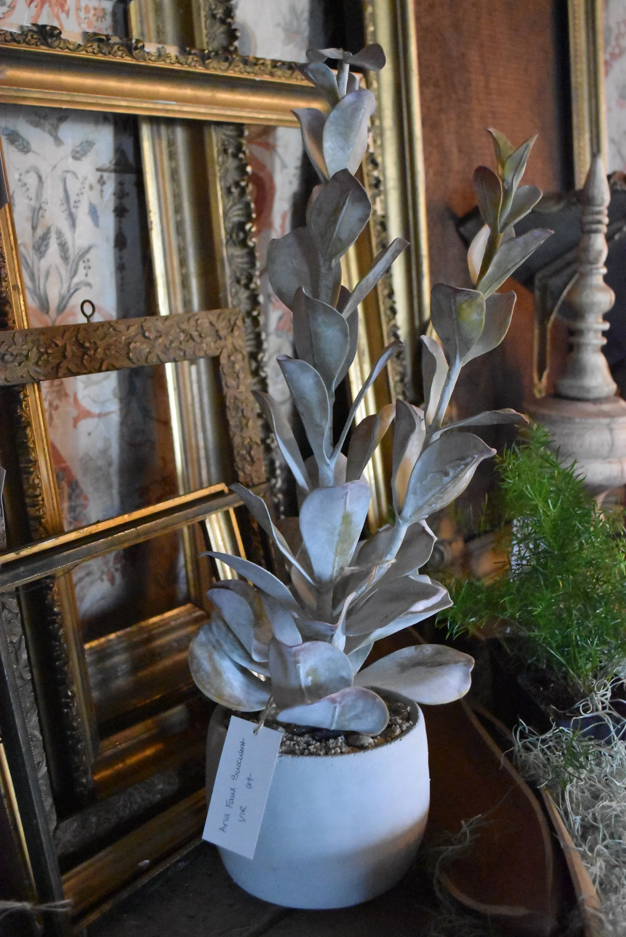 Aria Faux Succulent