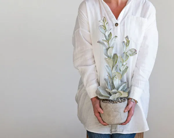 Aria Faux Succulent