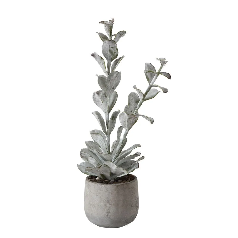 Aria Faux Succulent