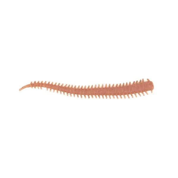 Berkley Gulp! Saltwater Isome Gokubuto LRF Lures