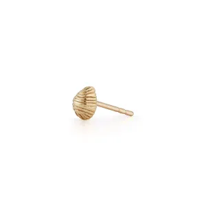 Bitsy Bean Stud - Closed
