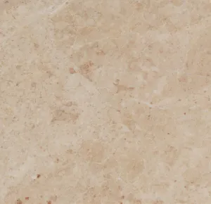 Cappuccino Marble 12 X 12 Field Tile, Premium Quality, Polished (Lot of 360 Pieces (360 Sq. Ft.))