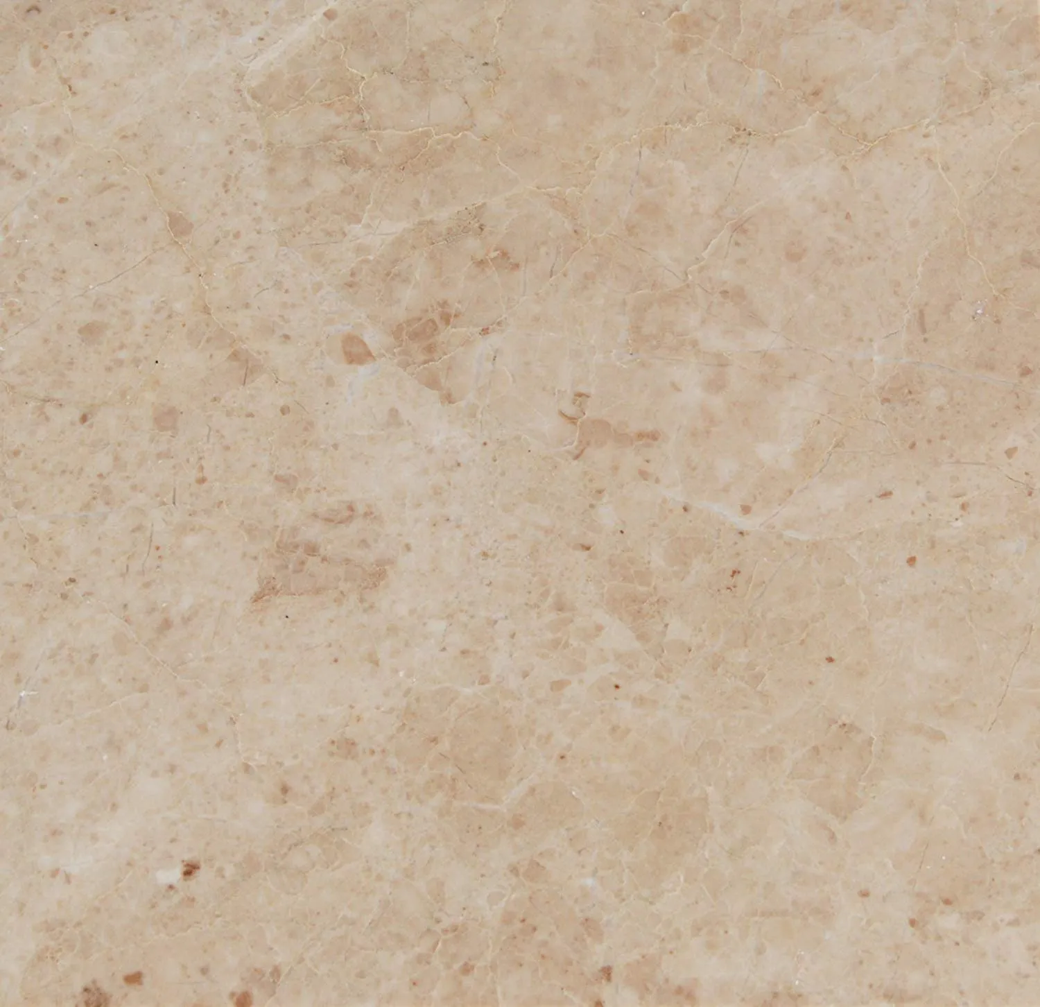 Cappuccino Marble 12 X 12 Field Tile, Premium Quality, Polished (Lot of 360 Pieces (360 Sq. Ft.))