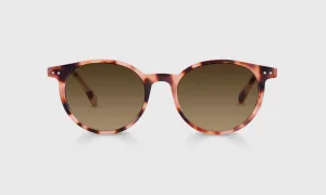 Case Closed Average Color 43 - Blush Pink Tortoise Front and Temples