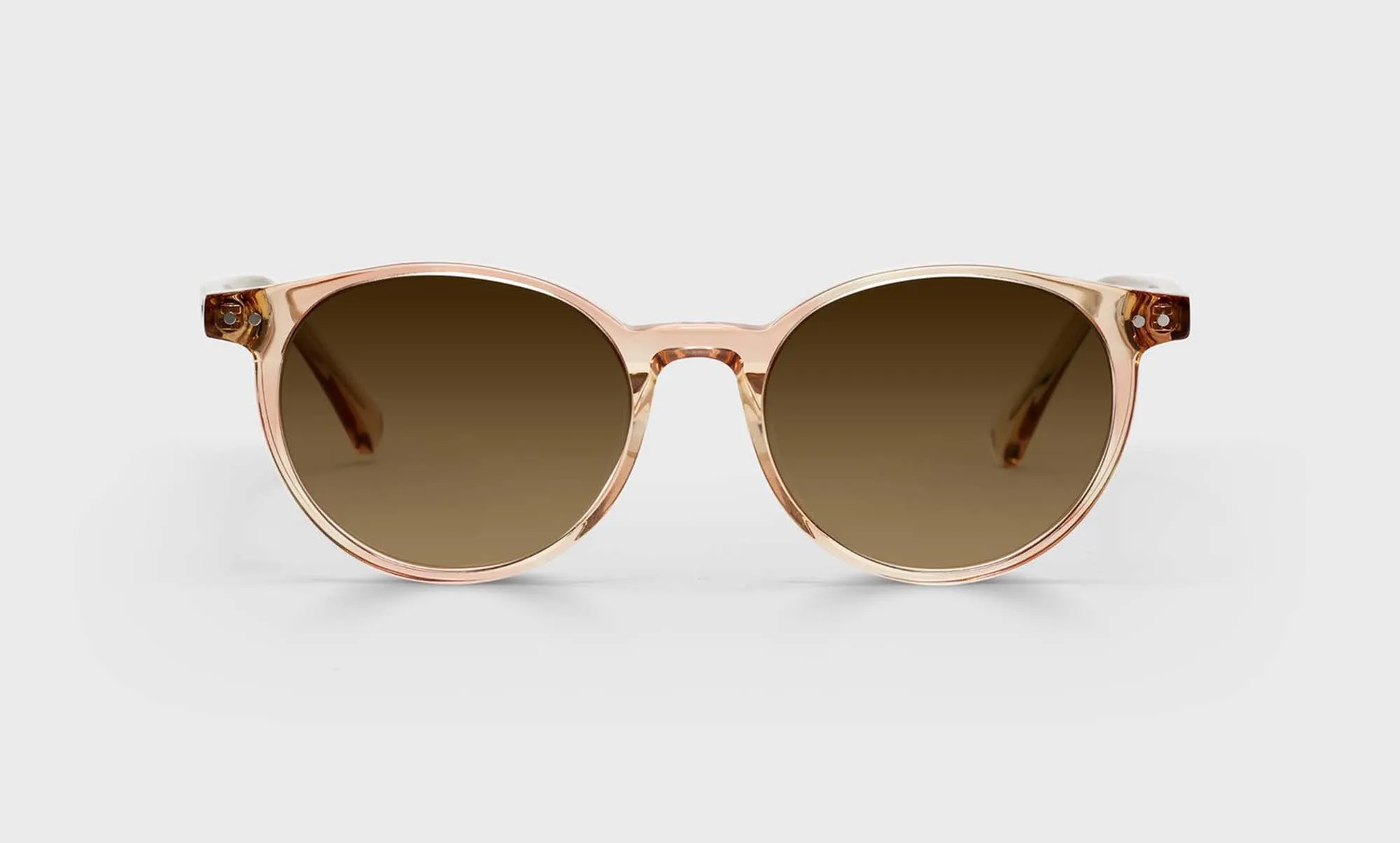 Case Closed Sunglasses