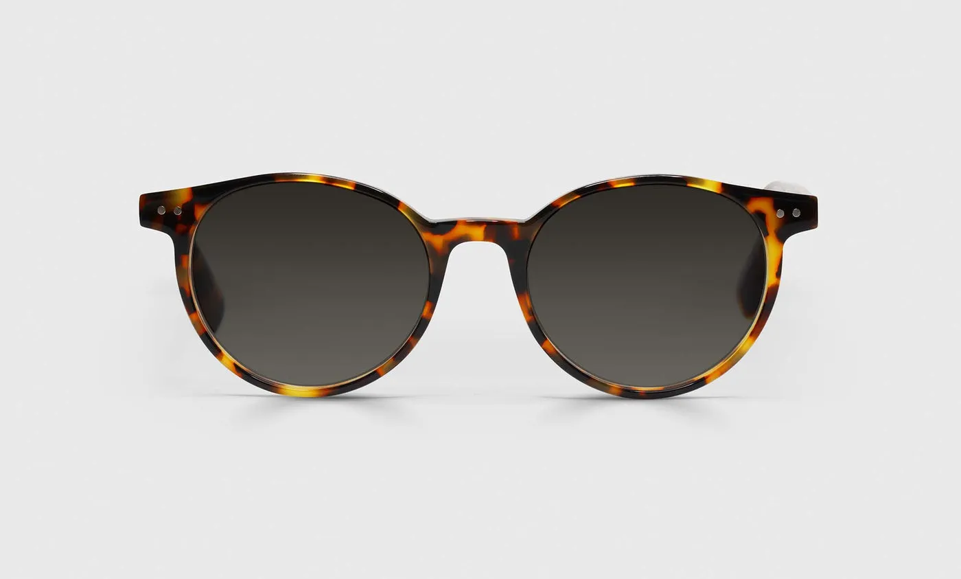 Case Closed Sunglasses