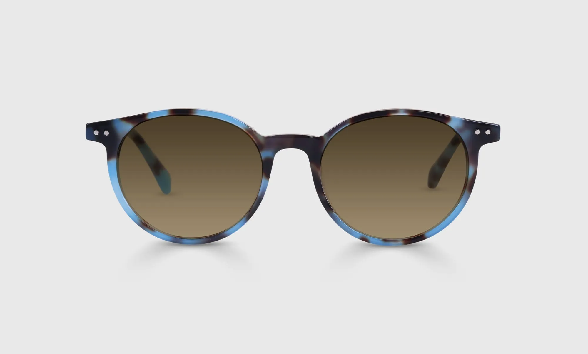 Case Closed Sunglasses