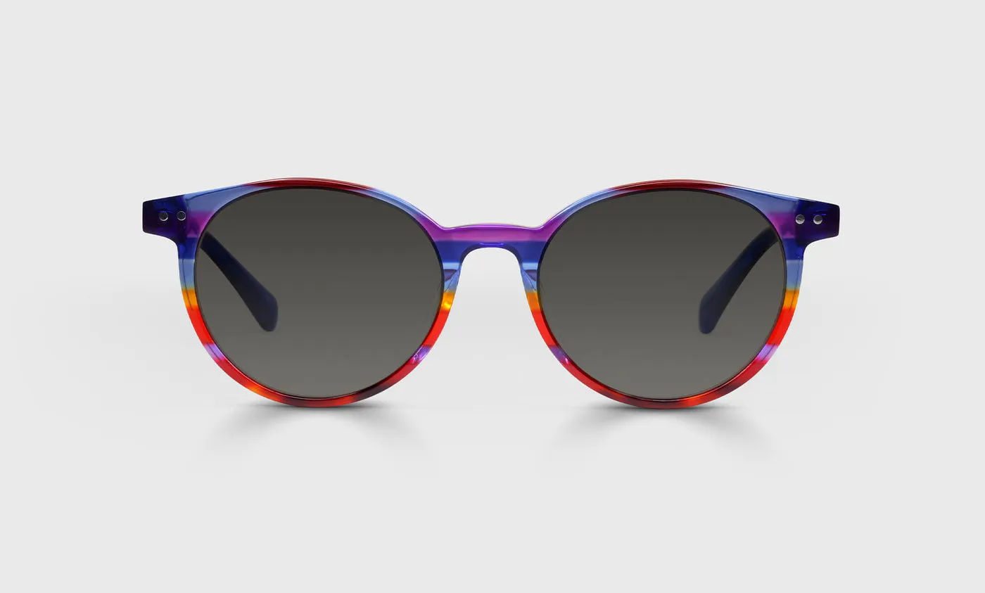 Case Closed Sunglasses