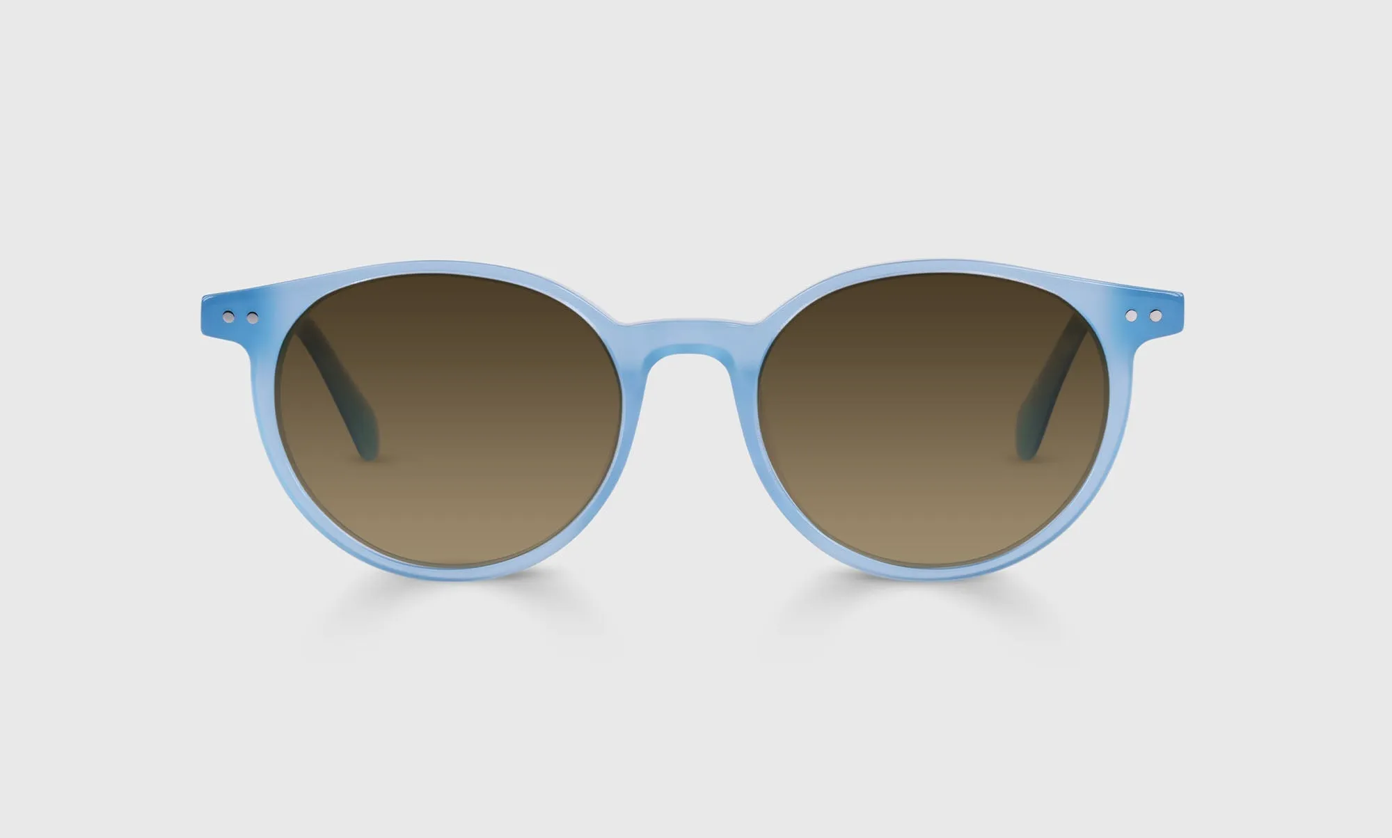 Case Closed Sunglasses