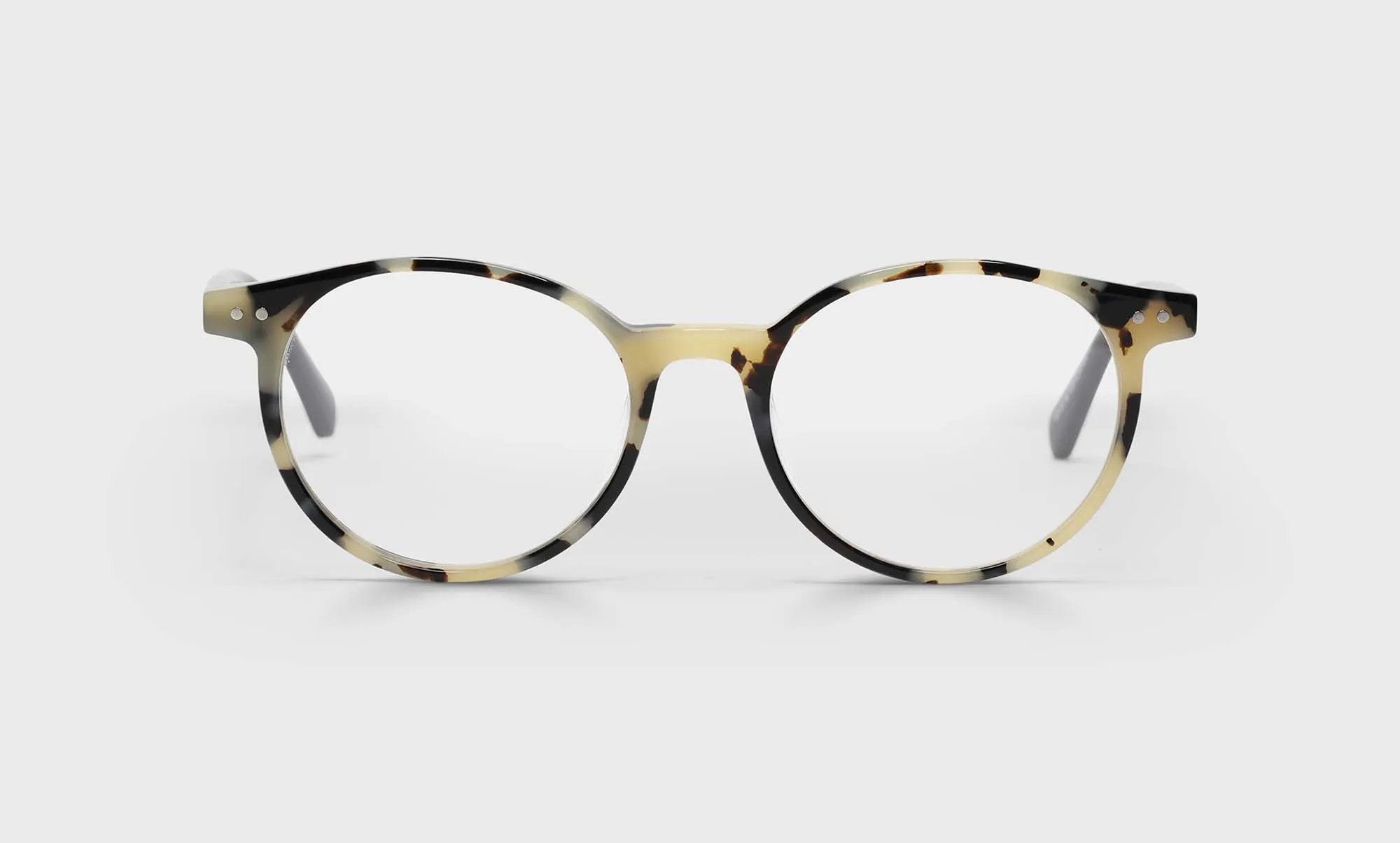 Case Closed Sunglasses