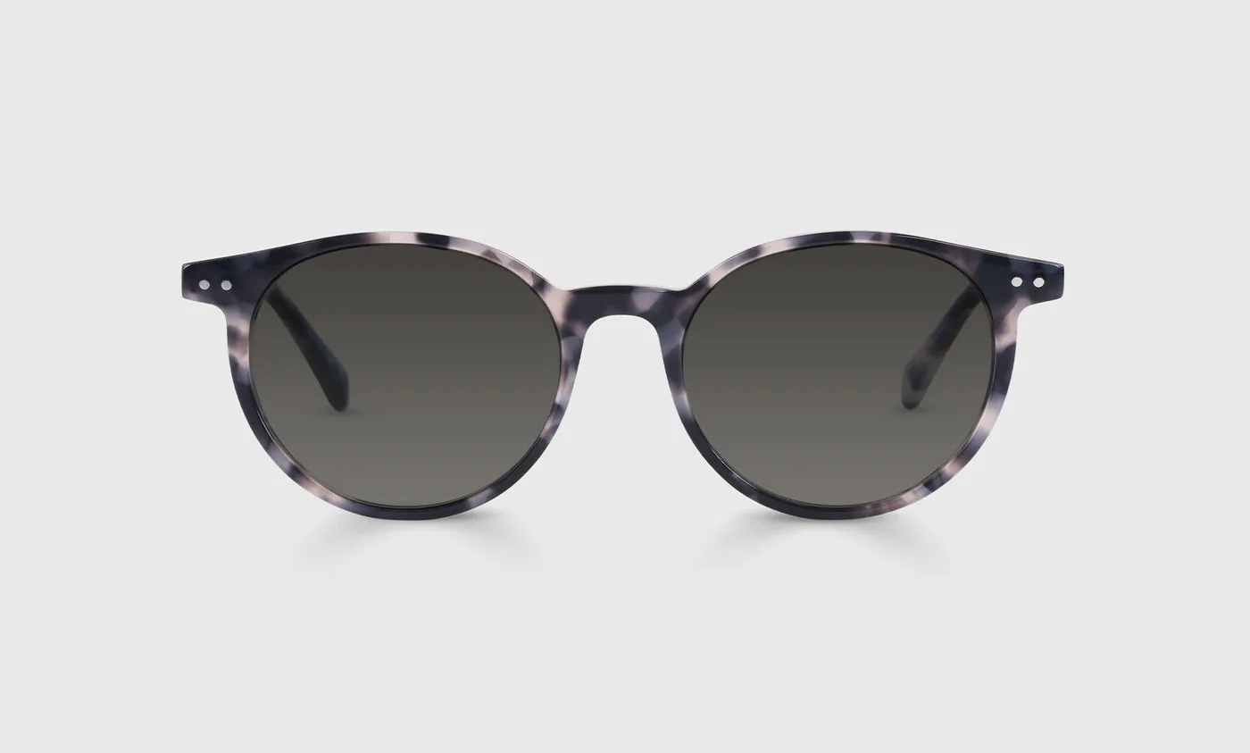 Case Closed Sunglasses