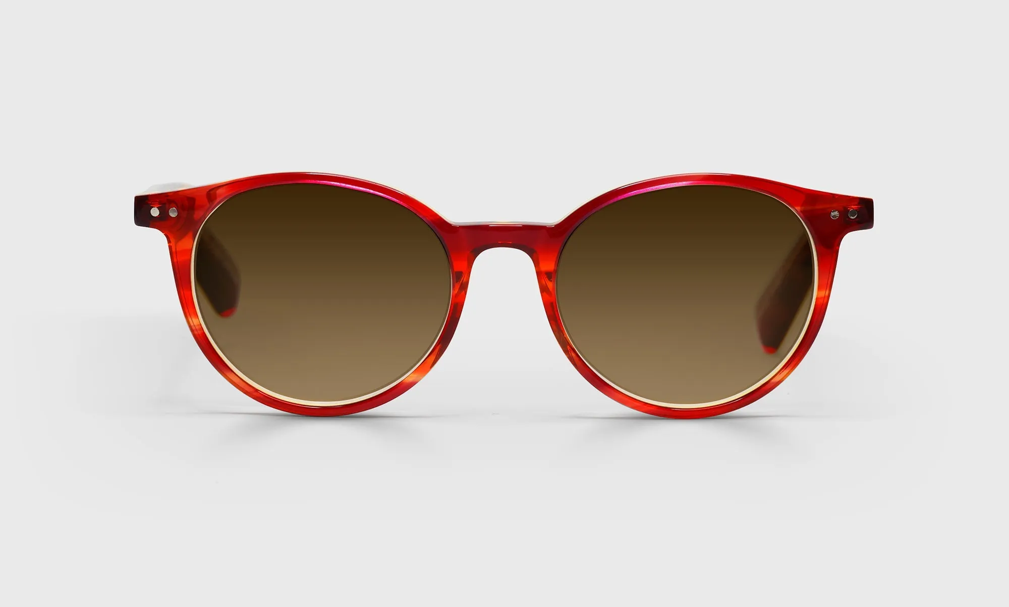Case Closed Sunglasses