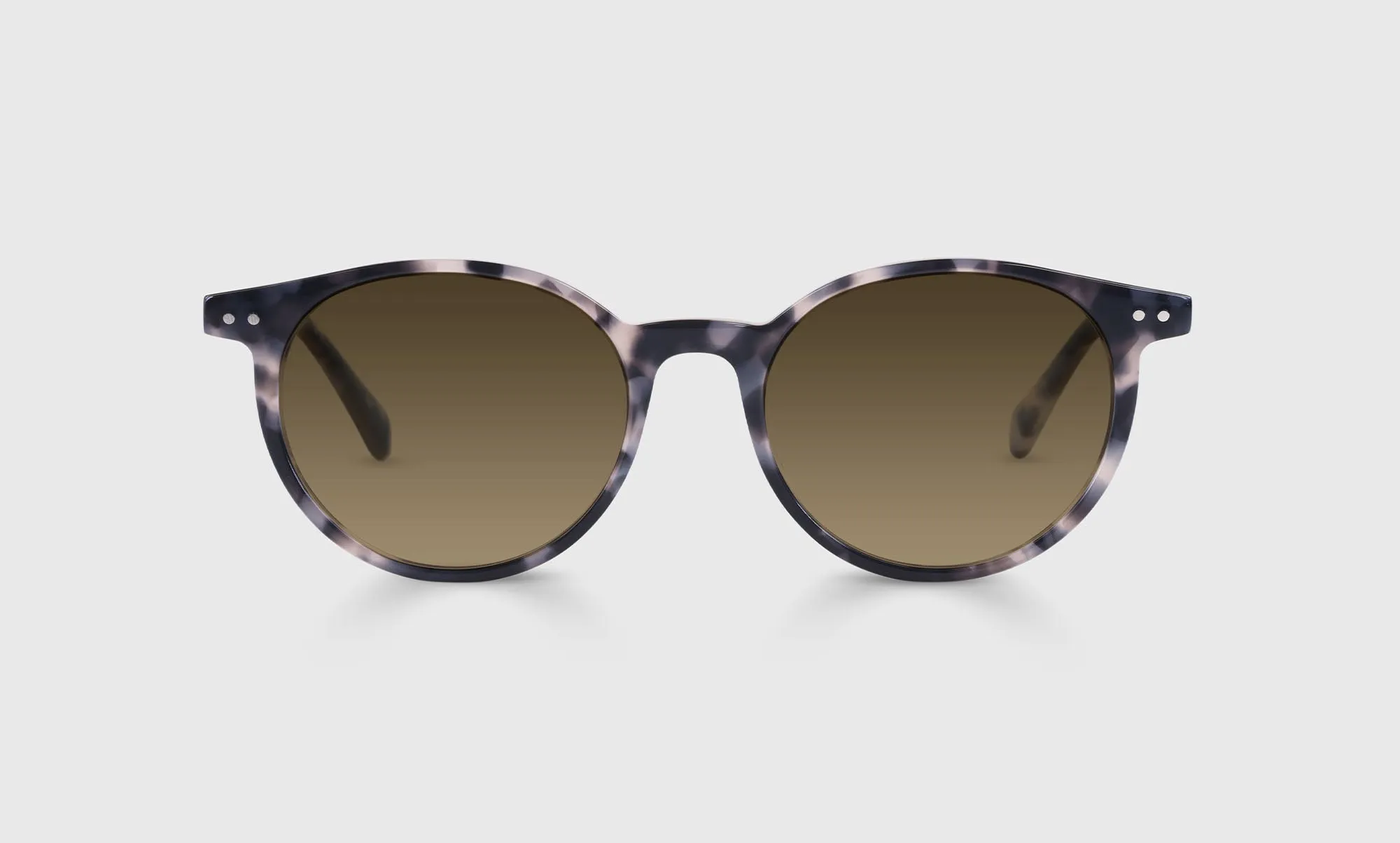 Case Closed Sunglasses