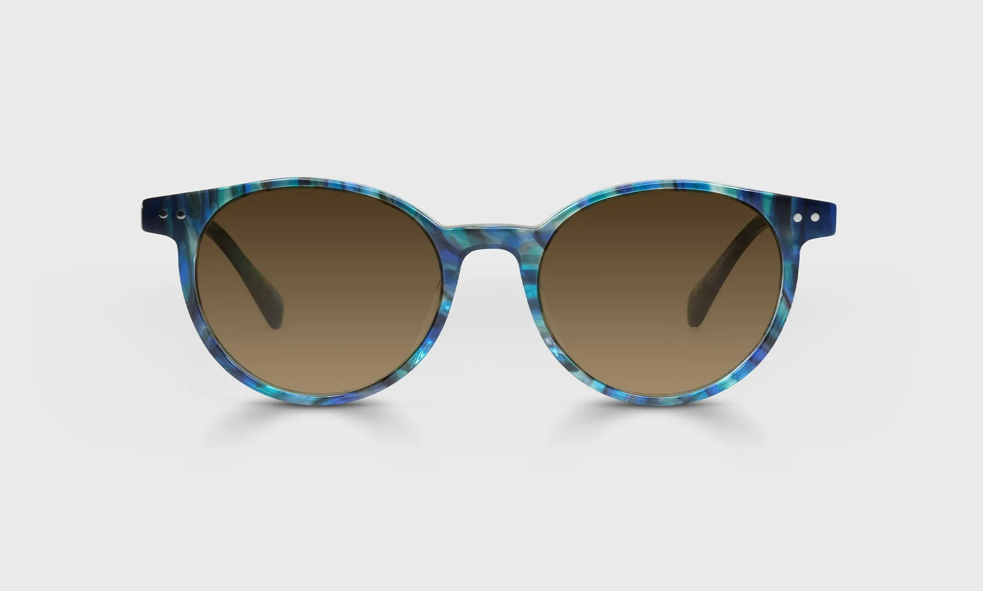 Case Closed Sunglasses