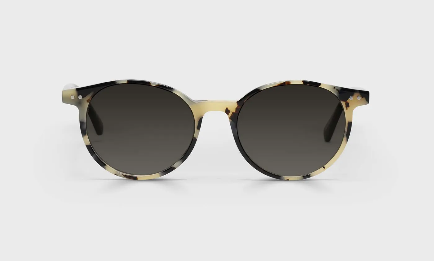 Case Closed Sunglasses