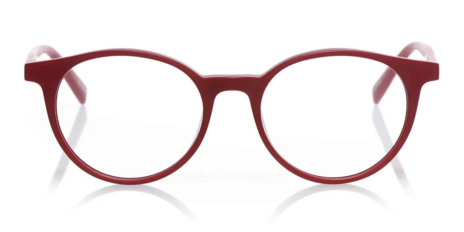Case Closed Sunglasses