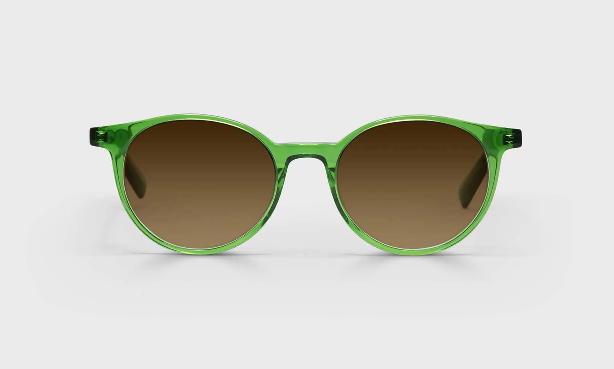 Case Closed Sunglasses