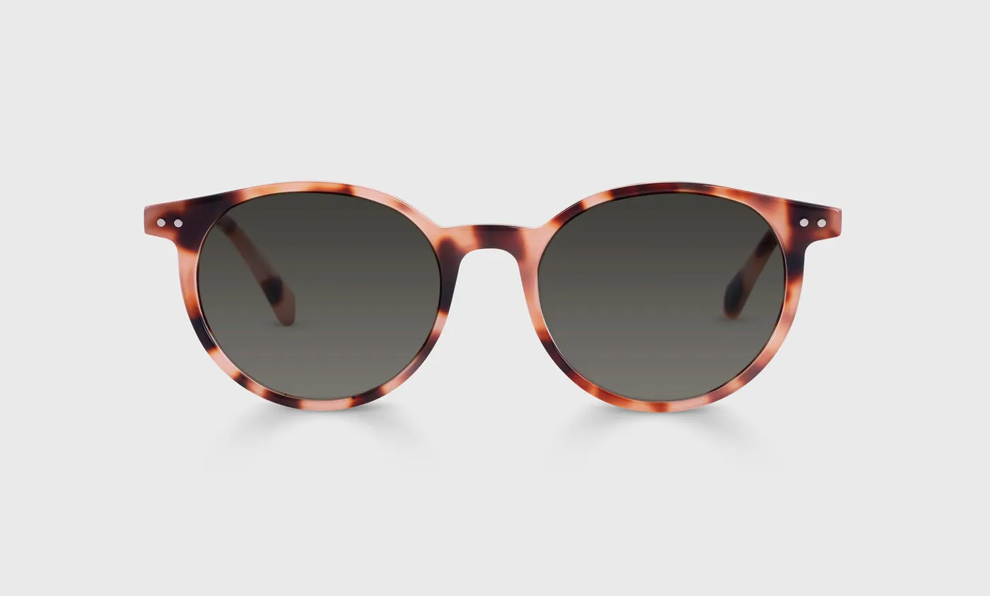 Case Closed Sunglasses