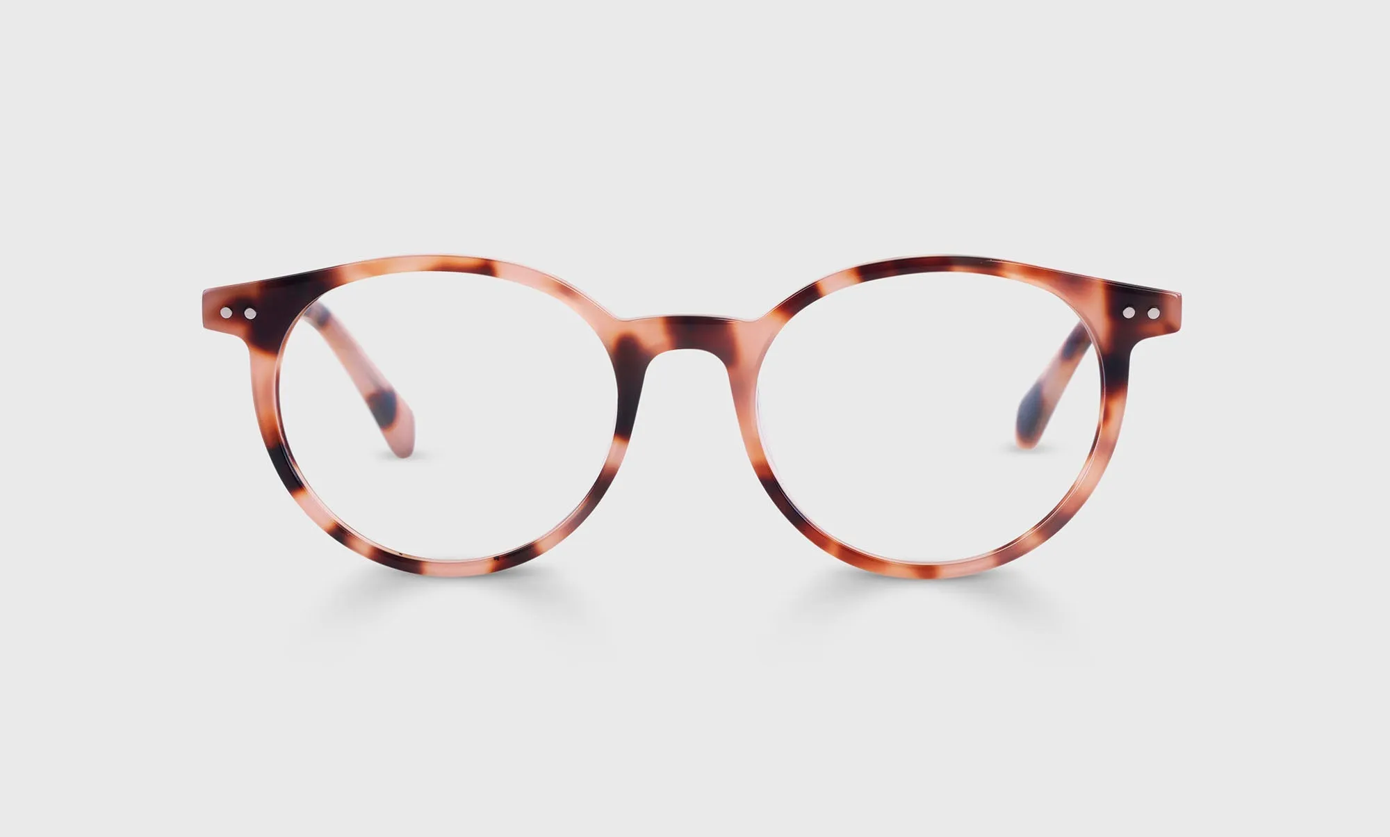 Case Closed Sunglasses