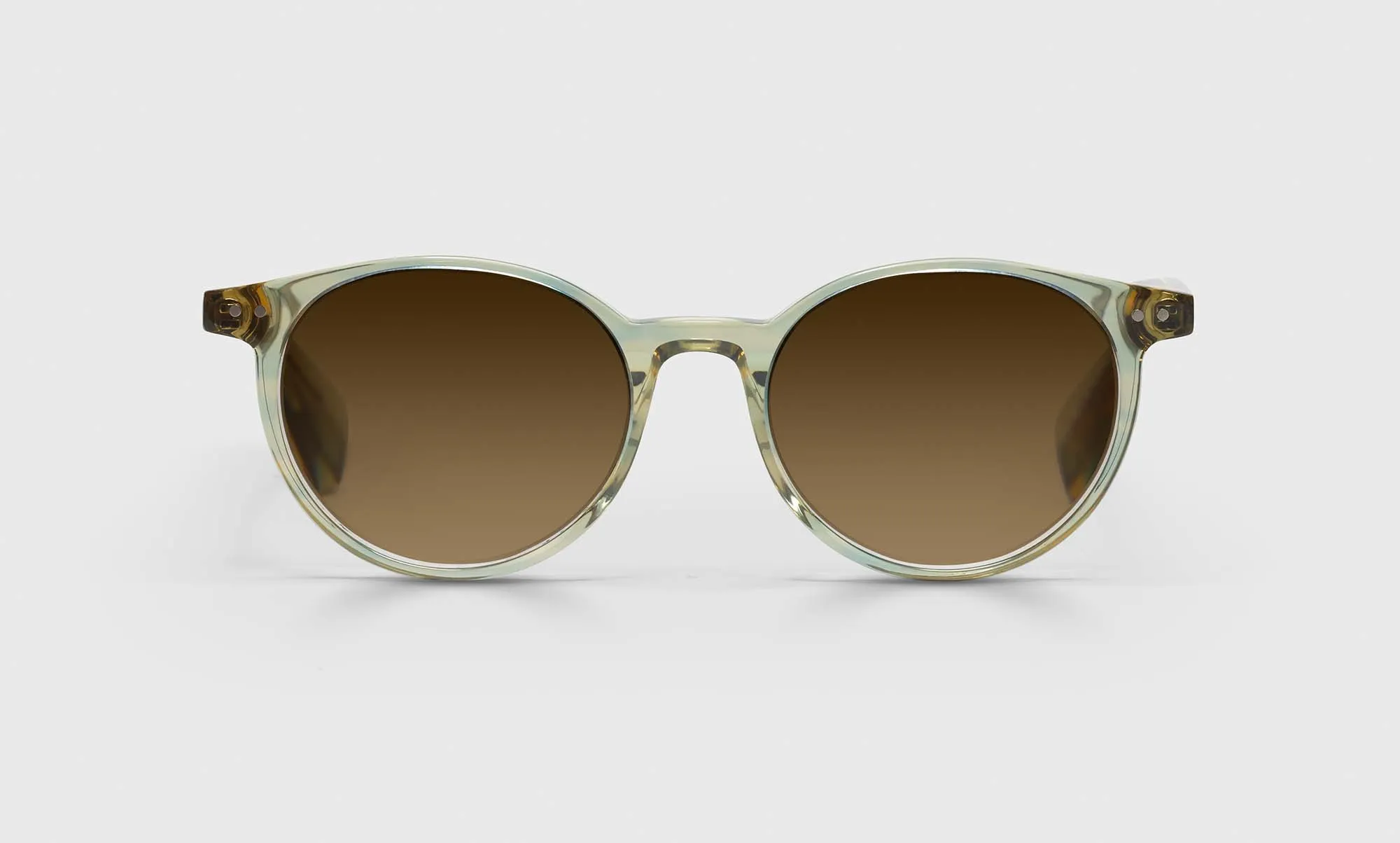 Case Closed Sunglasses