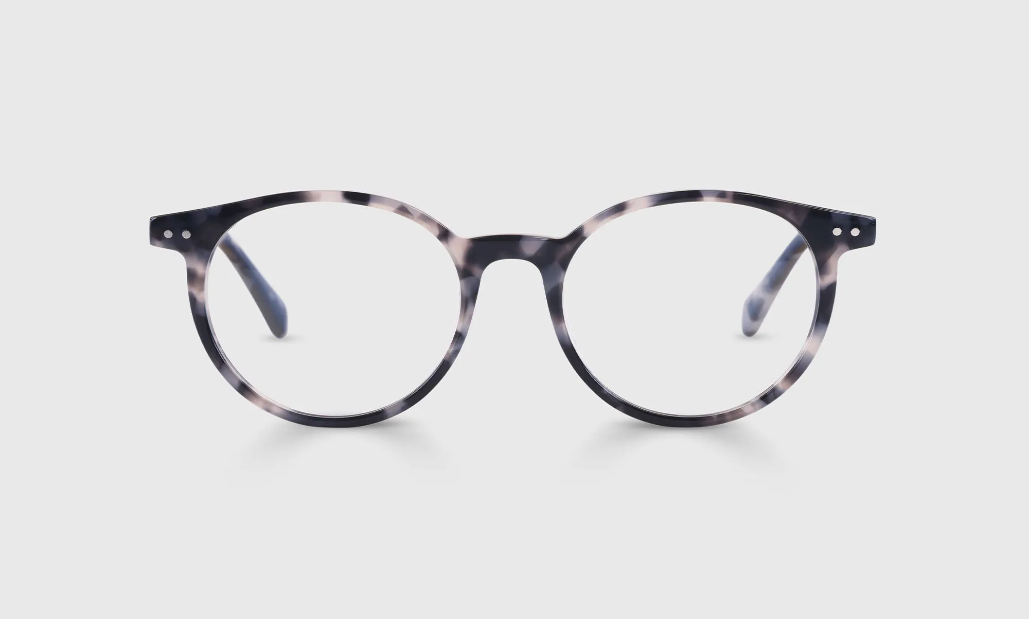 Case Closed Sunglasses