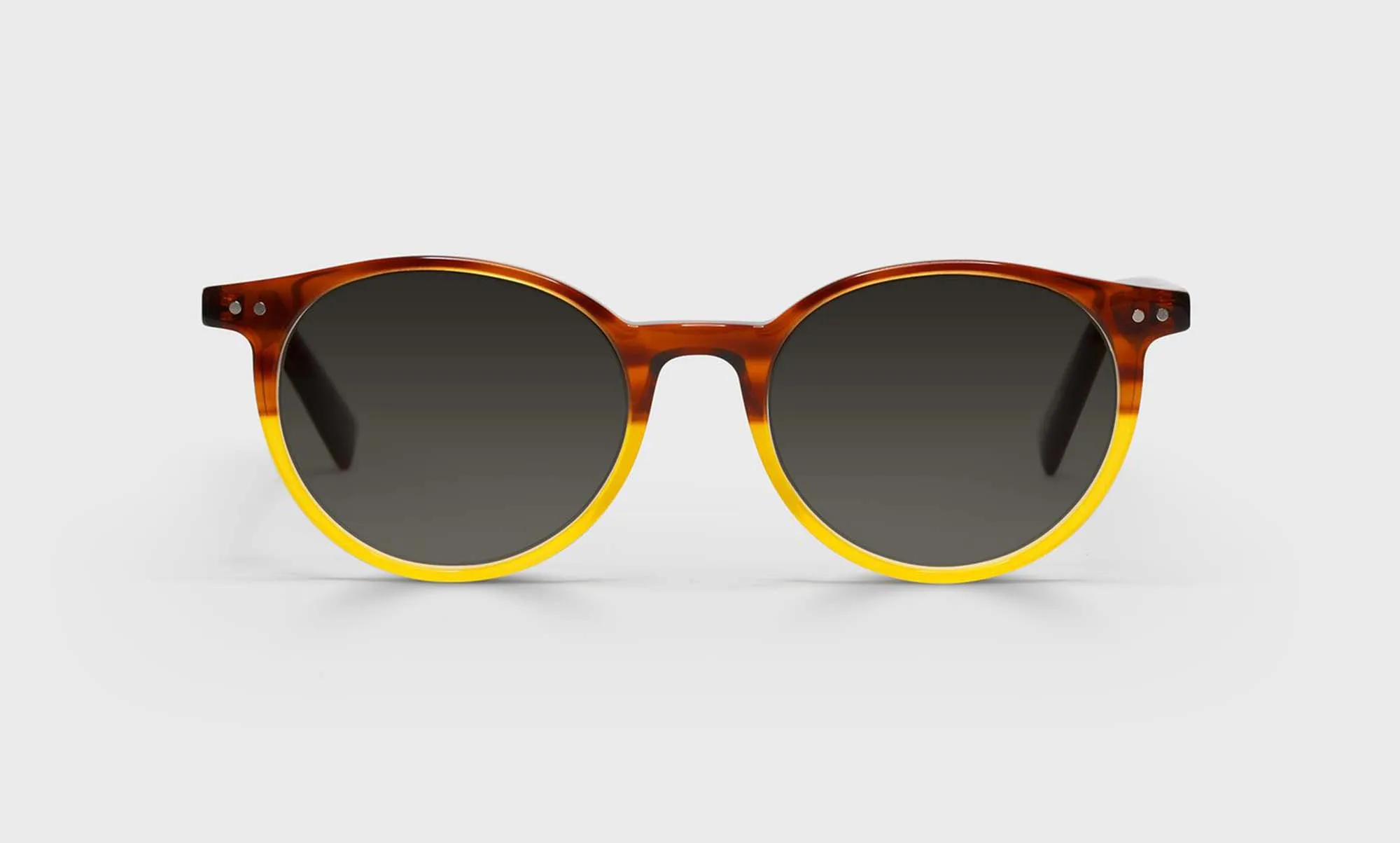 Case Closed Sunglasses