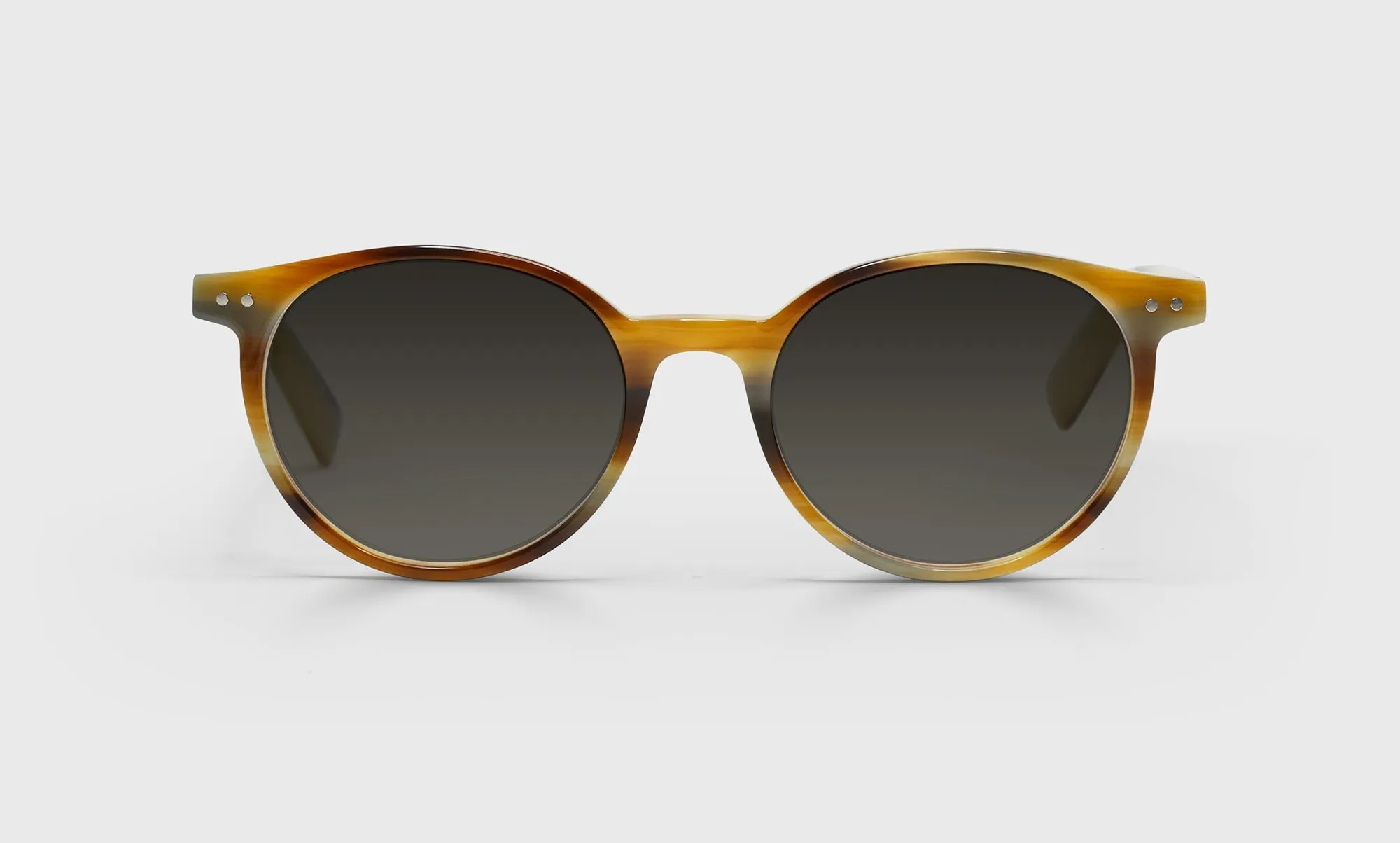 Case Closed Sunglasses