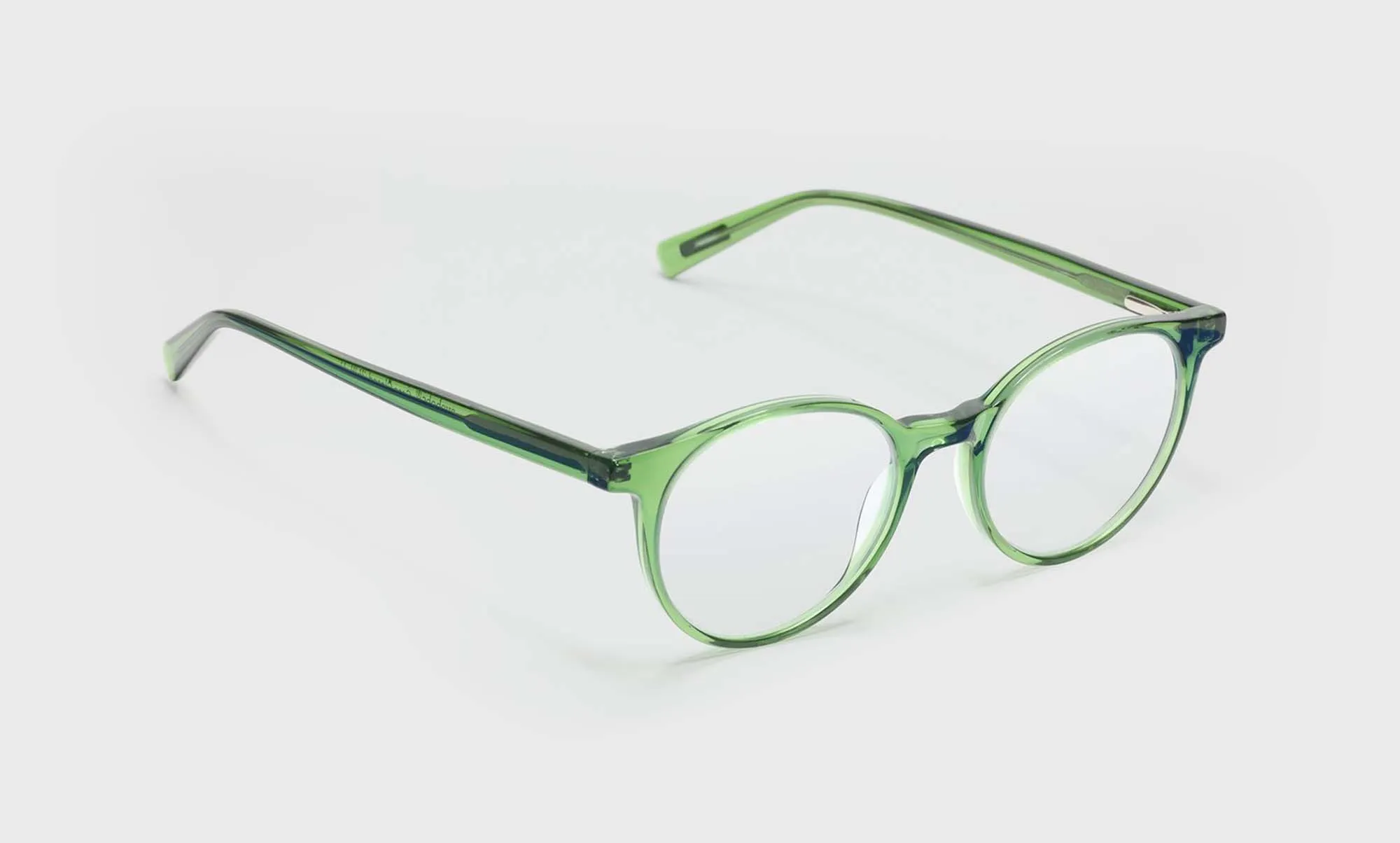 Case Closed Sunglasses